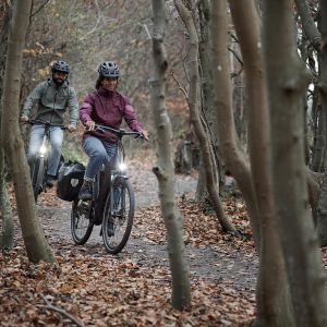 Giant AnyTour E+ Electric Bike