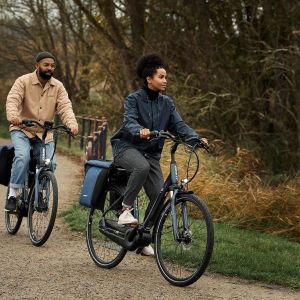 Entour E+ Electric Bike