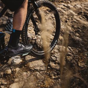 Mountain biker on trail