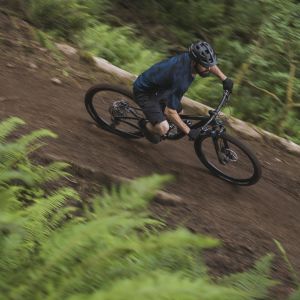 Overhead shot of the Giant Trance 29 on a forest trail.