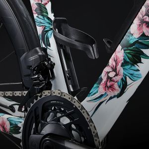 Looking at the Water Bottle cages and cassette of the EnviLiv