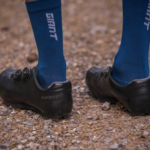 back of Charge Pro shoes