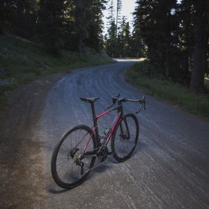 rear angle portrait of endurance road bike on paved road