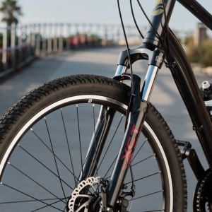 Sedona DX Bike