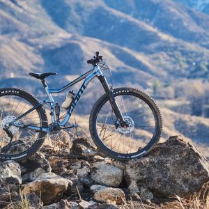 Profile view of Stance 29