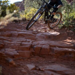 Reign Advanced Pro 29 Bike