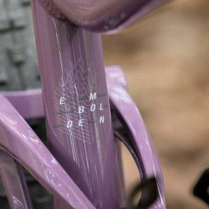 The Liv Embolden 2, in Purple Ash. Availability varies by country.