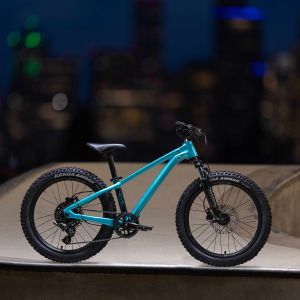 A driveside view of the Giant STP 20 FS.