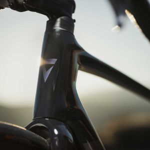 headtube of Giant road bike