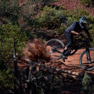 Reign Advanced Pro 29 Bike