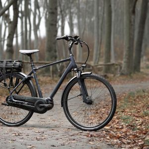 Entour E+ Electric Bike