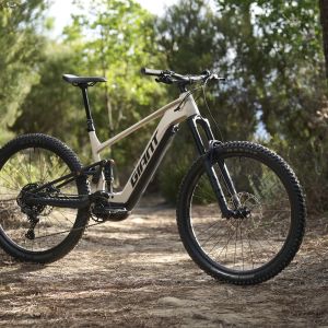 The Giant Stance E+ electric trail bike staged at an angle on a woodsy trail.