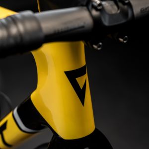 Close up view of the TCR Advanced Sl Legends frame head tube logo.