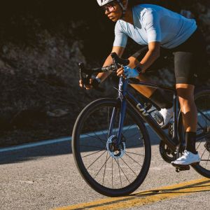 Langma Advanced SL Disc 0