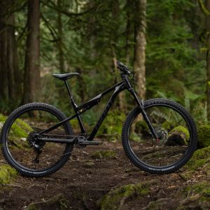 The Giant Stance aluminum full-suspension trail bike posed in the woods.