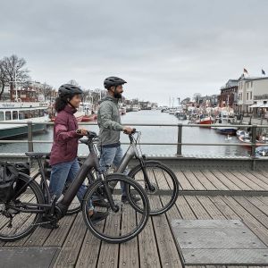 Giant AnyTour E+ Electric Bike