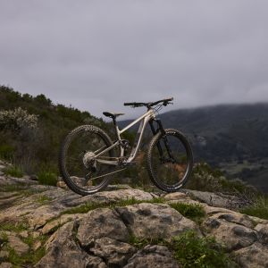 Trance x mountain bike posed on a rock