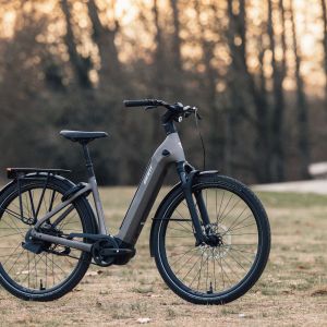 A Giant Anytour E+ electric city bike stationary on it's kickstand in a park.