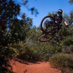 Reign Advanced Pro 29 Bike