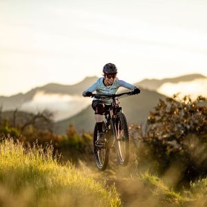 Intrigue Advanced pro 29