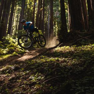 Mountain biker on Trance X