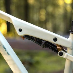 Close up of Liv Embolden frame.
