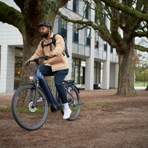 Giant DailyTour E+ Electric Bike