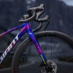 A Giant Seek team edition with Giant SLR 40 1 650b wheels.