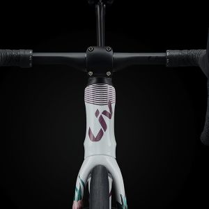 Looking directly at the EnviLiv handlebars.