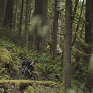 Giant Trance 29 on the trails.