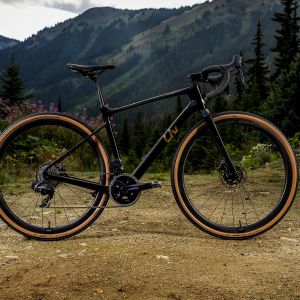 Devote in the woods on gravel.