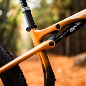 A close up look at the rear triangle on the Liv Pique Advanced SL on a dirt road in fall.