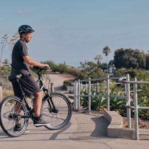 Sedona DX Bike