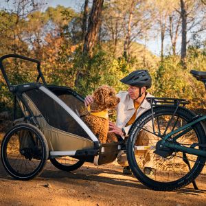 Cyclist stops to pet dog that's riding in a bike trailer being pulled by their Giant Anytour X E+