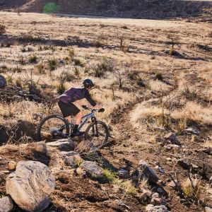 Descending on Stance 29