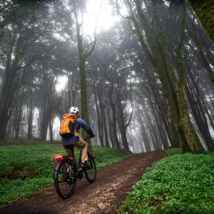 An adventure cyclist explores a wooded dirt path on their Giant AnyTour X E+ at dusk.