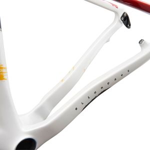 XtC Advanced SL World Champion Frame Detail