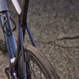 Rear view of Giant TCR Advanced SL.