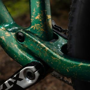 A close up look at the lower part of the rear suspension on the Giant Anthem X Advanced SL xc mountain bike.