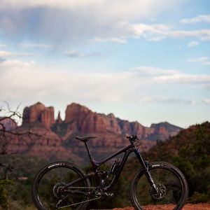 Reign Advanced Pro 29 Bike