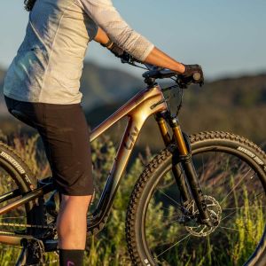 Intrigue Advanced pro 29