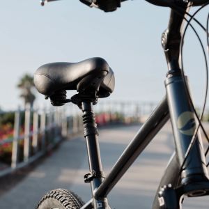 Sedona DX Bike