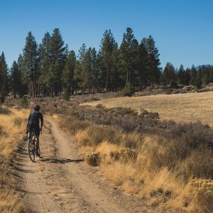 Revolt Advanced Pro Gravel Bike