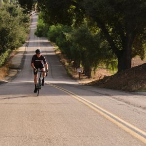Contend SL Disc Road Bike