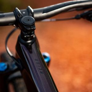 Reign Advanced Pro 29 Bike