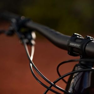 Reign Advanced Pro 29 Bike