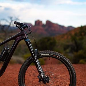 Reign Advanced Pro 29 Bike