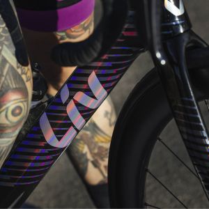 A women standing with the EnviLiv.