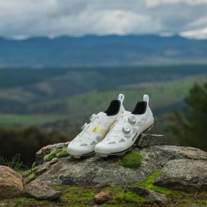 The Giant Charge Pro Shoes sitting on a rock on a mountain.