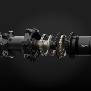 An exploded out look at the internals of the TRX HD rear hub ratchet system.